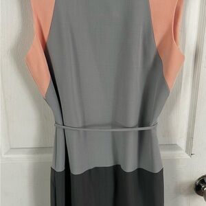 Sandra Darren Asymmetrical Gray and Pink Dress